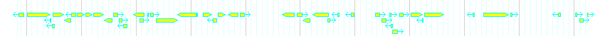 Genes detail