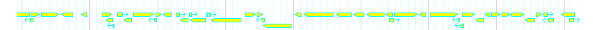 Genes detail