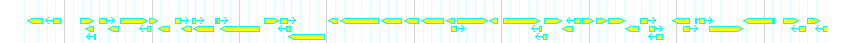 Genes detail