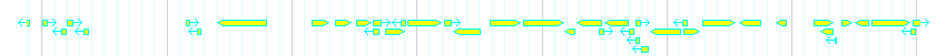 Genes detail
