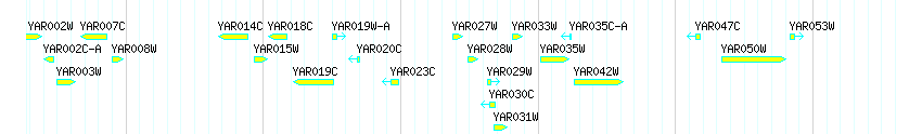 Genes detail