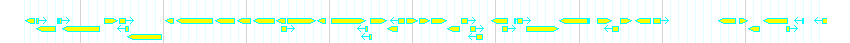 Genes detail