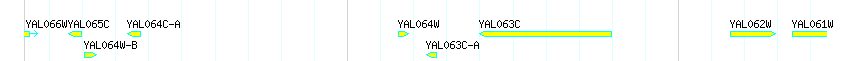 Genes detail