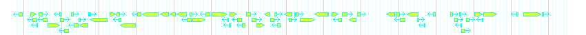 Genes detail