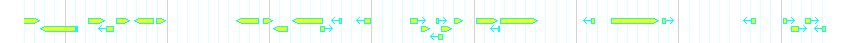 Genes detail