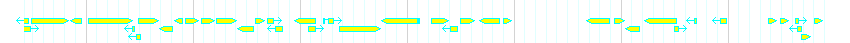 Genes detail