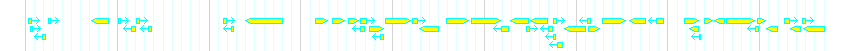 Genes detail