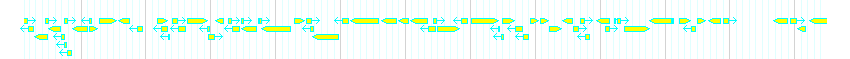 Genes detail