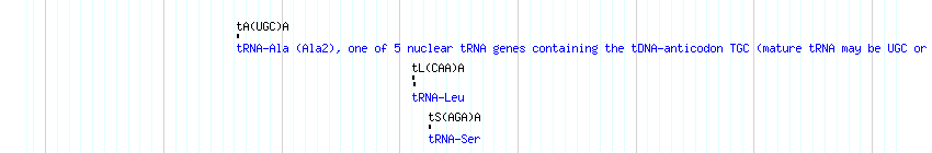 tRNAs detail