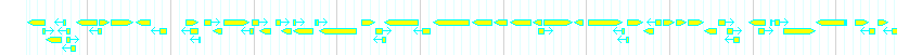 Genes detail