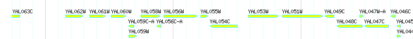 Genes detail