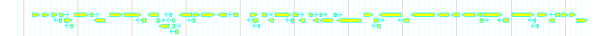 Genes detail