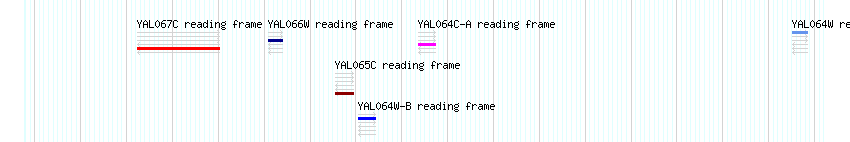 CDS detail
