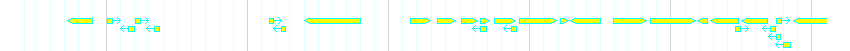 Genes detail
