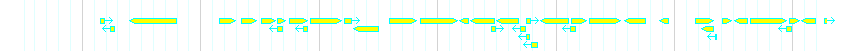 Genes detail