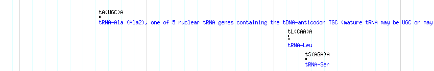tRNAs detail
