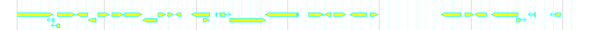 Genes detail