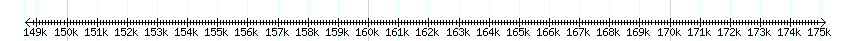 __scale__ detail