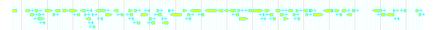 Genes detail