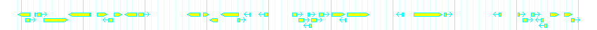 Genes detail