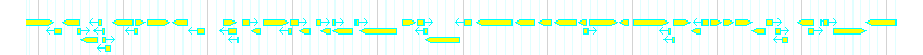 Genes detail