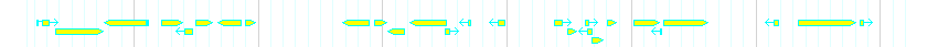 Genes detail