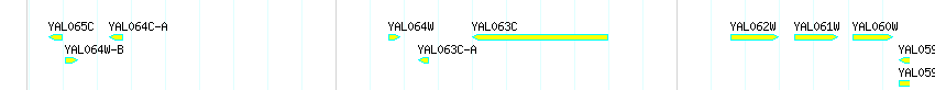 Genes detail
