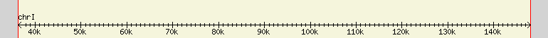 __scale__ region