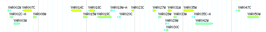 Genes detail