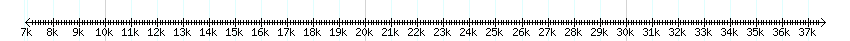 __scale__ detail