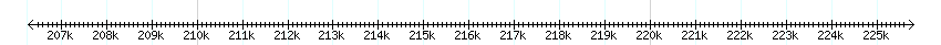 __scale__ detail
