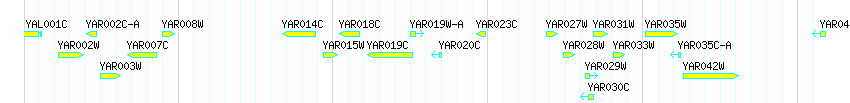 Genes detail