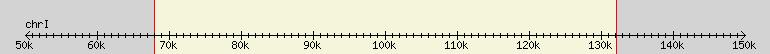 __scale__ region
