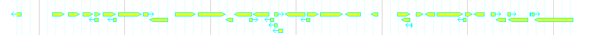 Genes detail