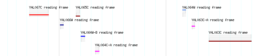 CDS detail