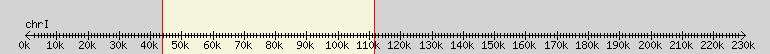 __scale__ overview