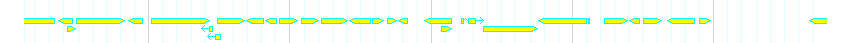 Genes detail