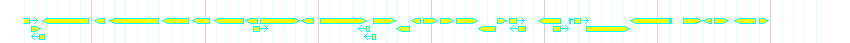 Genes detail