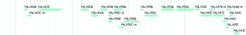 Genes detail