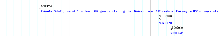 tRNAs detail