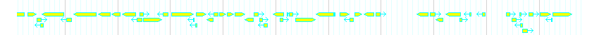 Genes detail