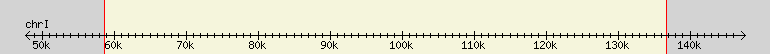 __scale__ region