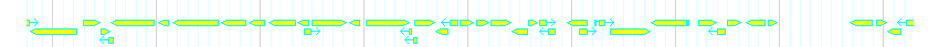 Genes detail