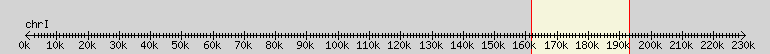 __scale__ overview