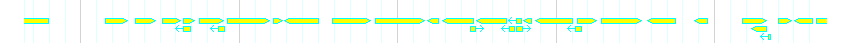 Genes detail