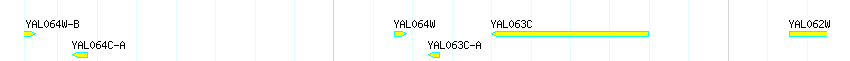 Genes detail