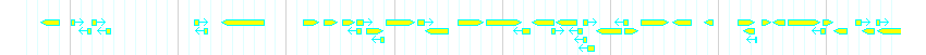 Genes detail