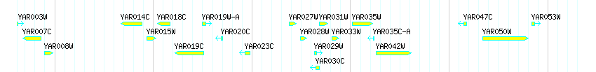 Genes detail
