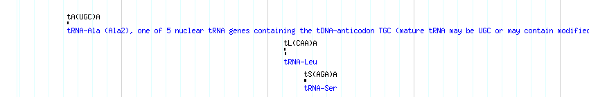 tRNAs detail