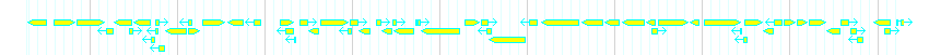 Genes detail